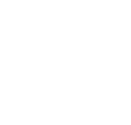 car with font